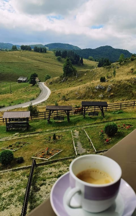 Pensiunea Crai Nou Bed and Breakfast in Brașov County