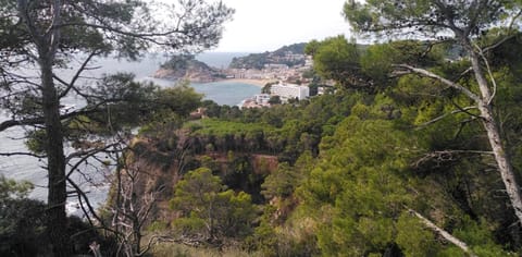 Santiago Mallorca Bed and Breakfast in Cala Figuera