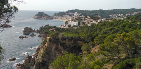 Santiago Mallorca Bed and Breakfast in Cala Figuera