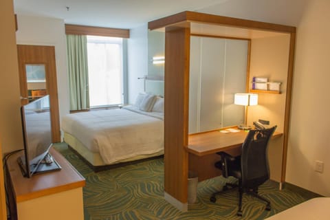 SpringHill Suites by Marriott Sumter Hotel in Sumter