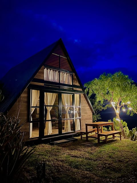 Night, Garden, Garden view