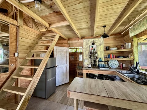 Kitchen or kitchenette, Dining area, stove