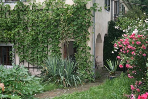 Poncet´sches Herrenhaus Apartment in Dresden