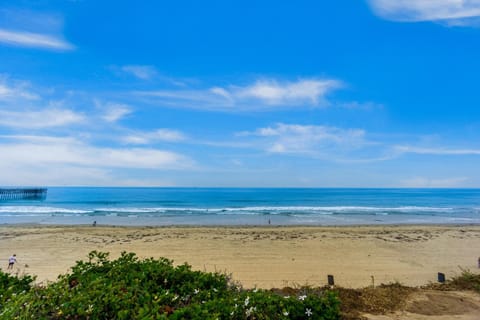 Seashell Serenity Apartment in Pacific Beach