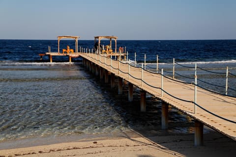 The Oasis Resort in Red Sea Governorate