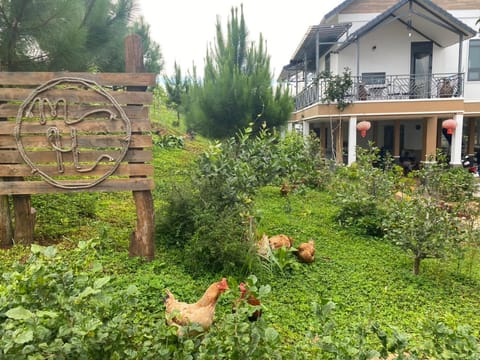 Mộc Hương farmstay Villa in Lâm Đồng