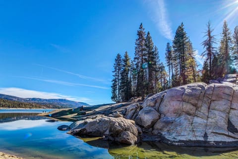 Tranquil Pines Estate House in Shaver Lake