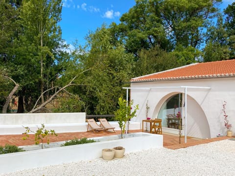 Patio, Garden, Garden view