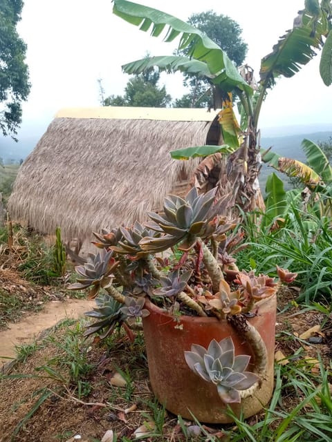 Casa Ecológica Madre Tierra Country House in Santander, Colombia