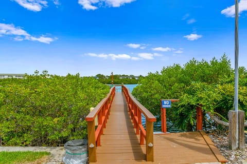 Sea Shell 44 Condo in Indian Shores