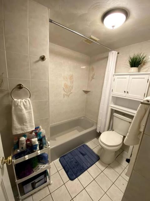 Glorious Suite near Downtown with washer/dryer Apartment in Gloucester