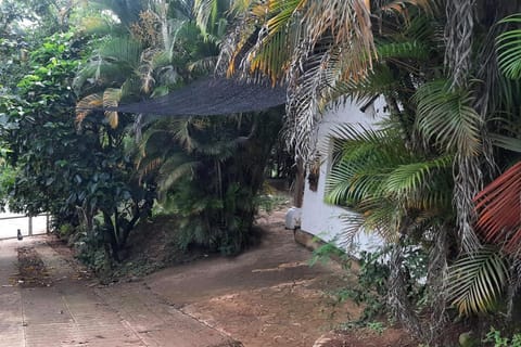 Facade/entrance, Day, Natural landscape, Garden, Garden view