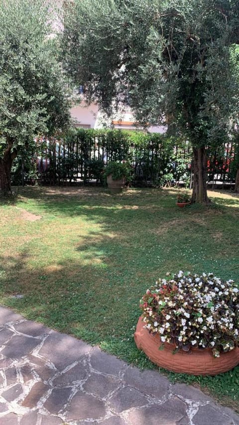 Garden, Garden view