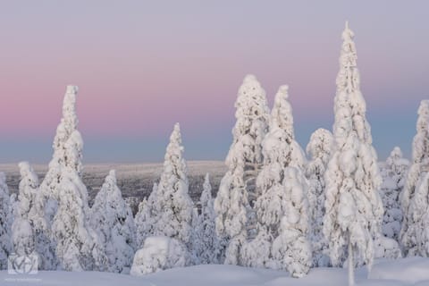 Villa Laakso incl. Sauna & 1000 Mbit/s Wi-Fi Apartment in Rovaniemi