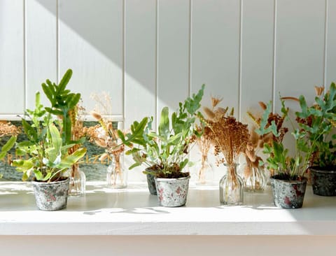 Facade/entrance, Lobby or reception, Decorative detail