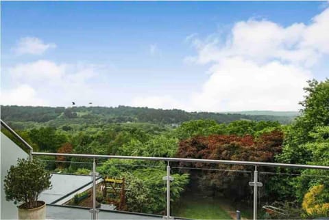 Modern Country Home with Cinema Room Overlooking Forestry House in Mid Sussex District