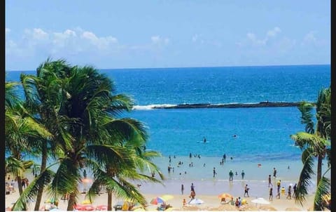 Natural landscape, Beach, Sea view