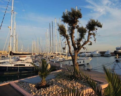 Bellissima imbarcazione accogliente e spaziosa. Docked boat in Nettuno