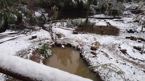 Natural landscape, Winter