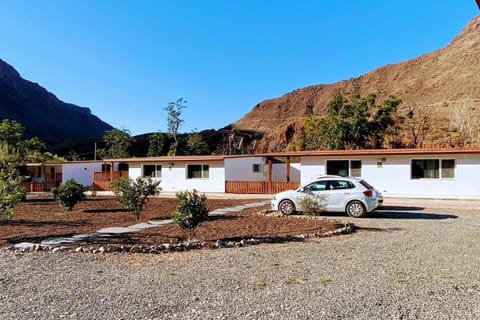 Property building, Natural landscape, Garden