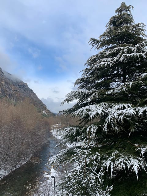 Natural landscape, Winter