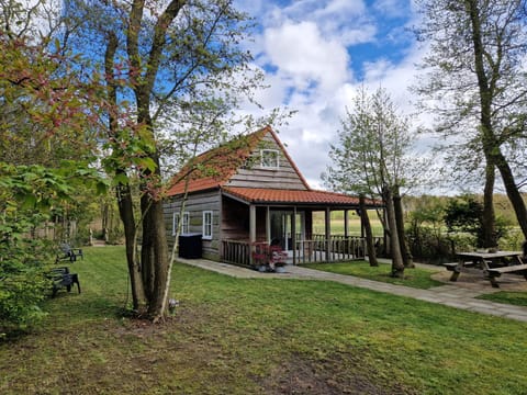 Property building, Day, Garden