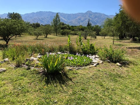 Garden view, Mountain view, Swimming pool