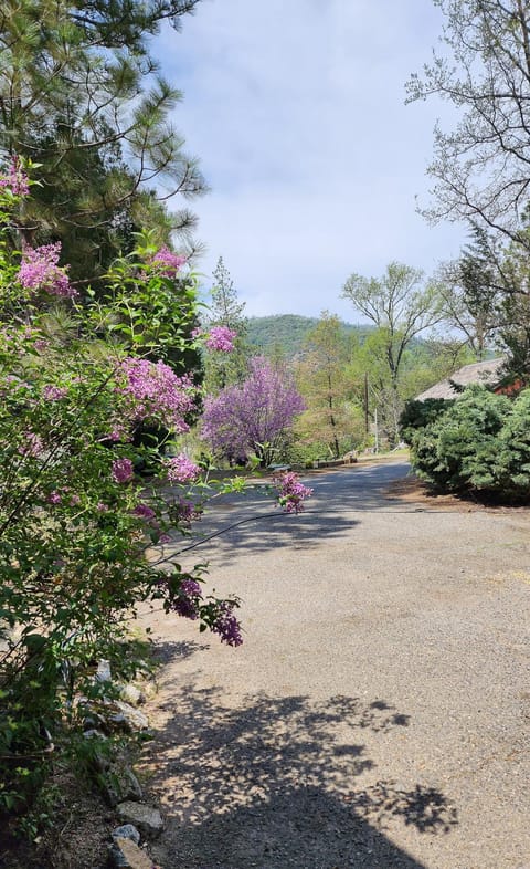 Yosemite Mountain Retreat Capanno nella natura in Ahwahnee