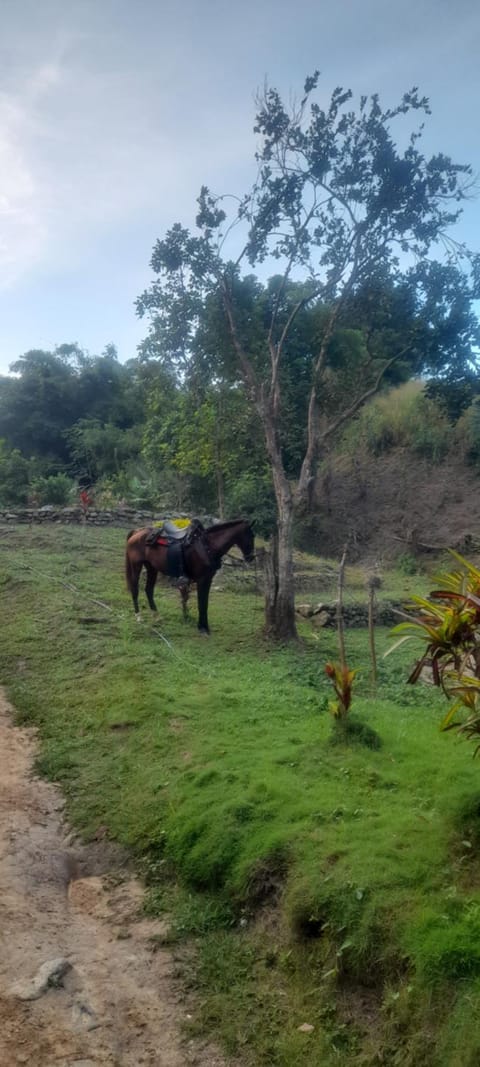 Los Mandainos Country House in Magdalena, Colombia