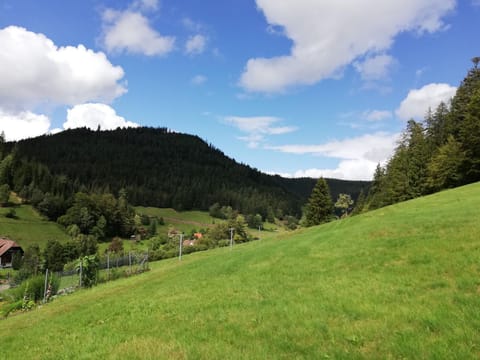 Day, Natural landscape, Mountain view