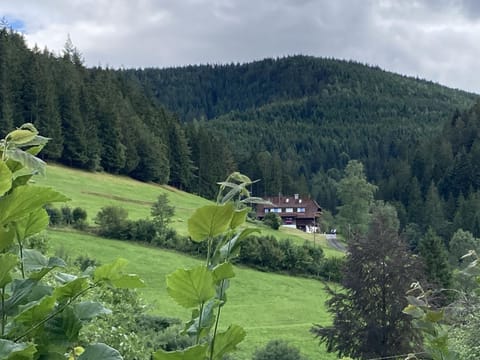 Natural landscape, Mountain view