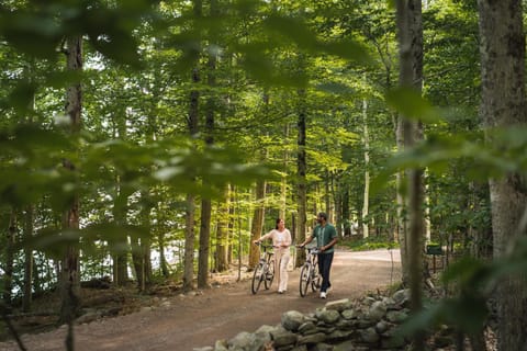 People, Natural landscape, Cycling, Cycling