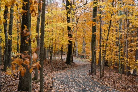 Hiking, Hiking, Autumn