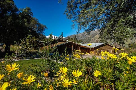 Property building, Spring, Day, Natural landscape, Garden, Garden view