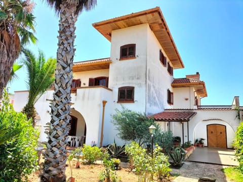 Property building, Garden view