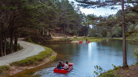 Natural landscape, Lake view