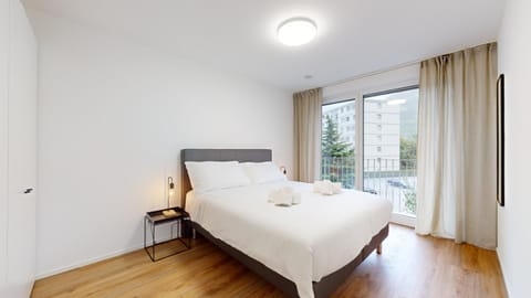 Bright & modern apartments in Sion Condo in Sion