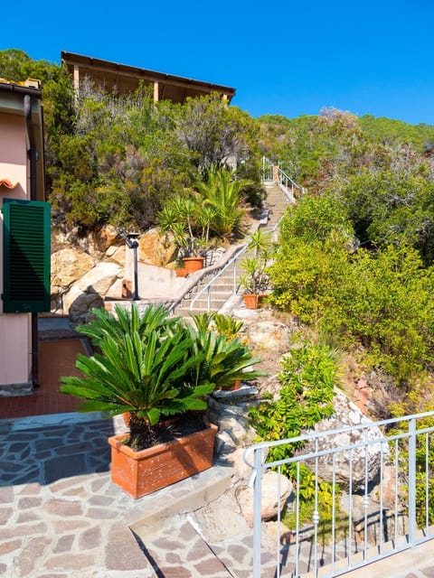 Facade/entrance, Decorative detail