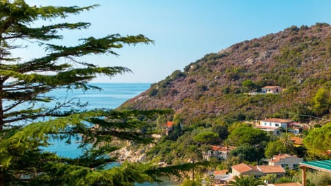 Natural landscape, On site