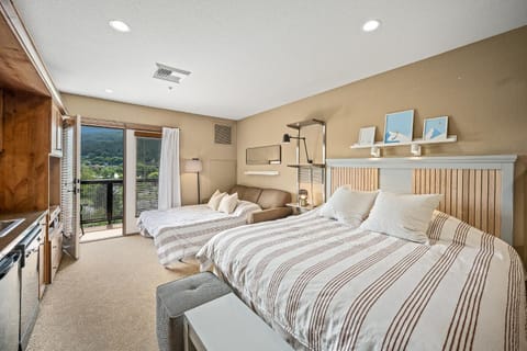 Pet-Friendly Silver Mountain Studio Mountain View Eigentumswohnung in Kellogg