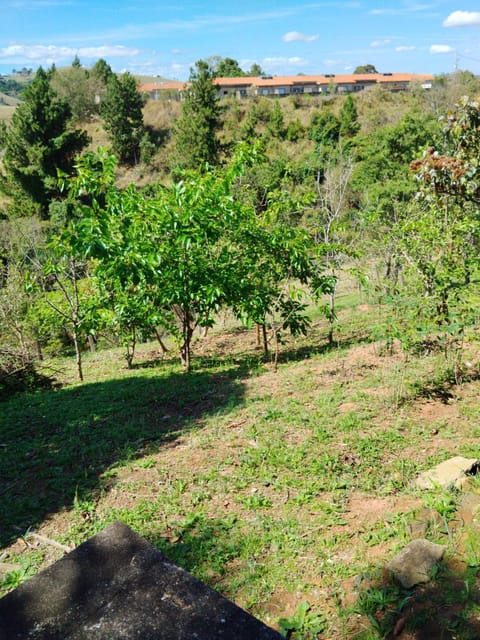 Natural landscape, View (from property/room)