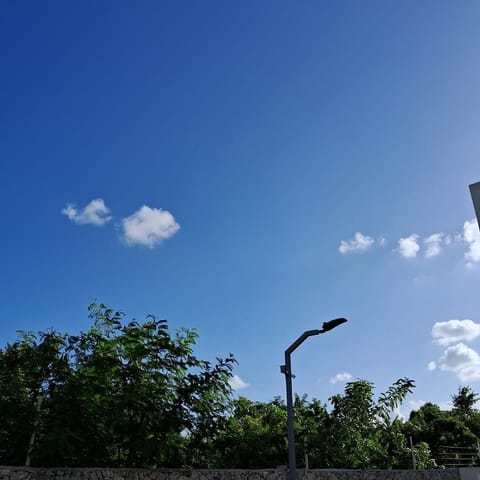 Natural landscape, View (from property/room)