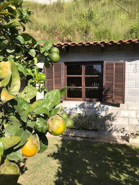 Property building, Garden view