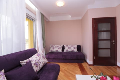 Apartments Aleksandra Condo in Podgorica