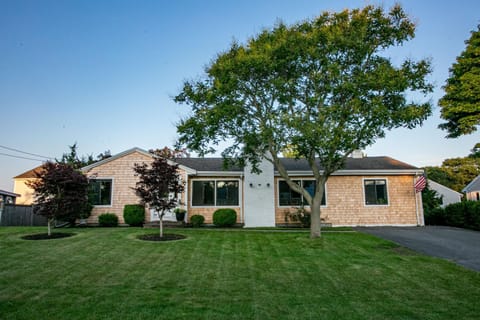 Property building, Garden view