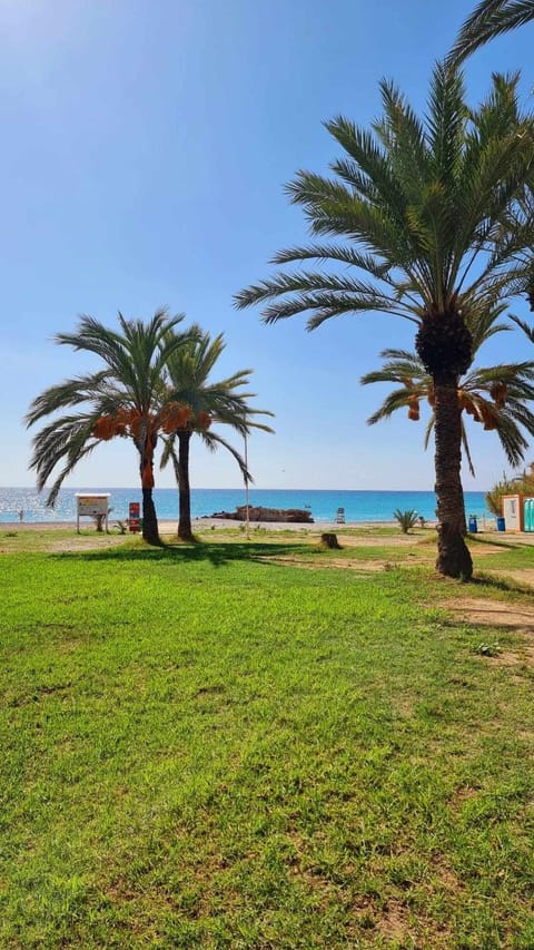 Natural landscape, Beach