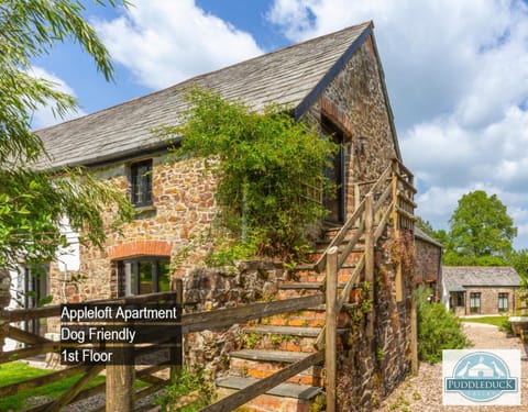 Property building, Garden view