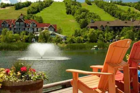 Beautiful Cottage at The Blue Mountain House in Grey Highlands