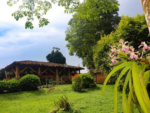 Finca Cafetera Madrigal - Café Sortiz Country House in Quindio, Colombia