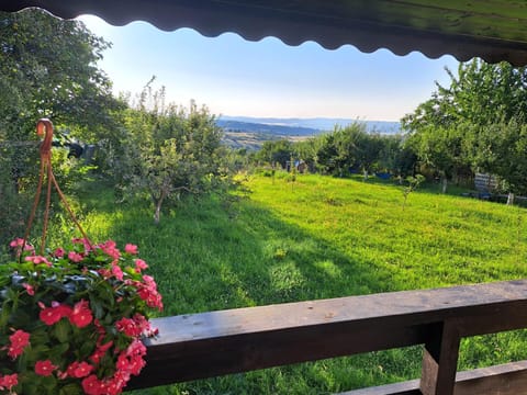 Balcony/Terrace, Garden view